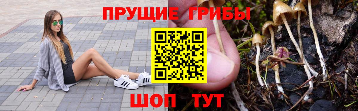 Галлюциногенные грибы мухоморы  Псилоцибиновые грибы Magic Shrooms  наркота  Вход с VPN  Абакан 